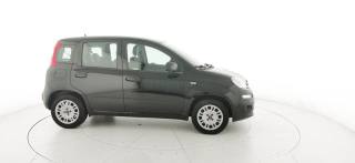 FIAT Panda usata, con Climatizzatore