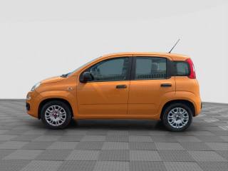 FIAT Panda usata 1