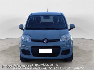 FIAT Panda 1.0 FireFly 70CV S&S Hybrid