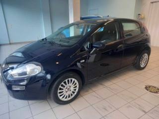 FIAT Punto 1.2 8V 5 porte Street