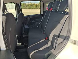 FIAT Panda usata 7