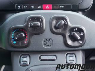 FIAT Panda usata 13