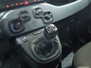FIAT Panda usata, con Controllo trazione