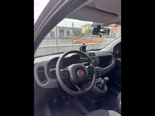 FIAT Panda usata 15