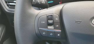 FORD Focus usata, con Cruise Control