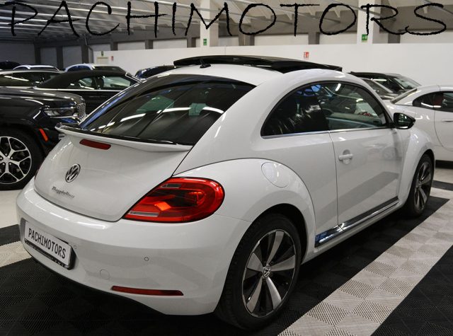 VOLKSWAGEN Maggiolino usata, con Fendinebbia