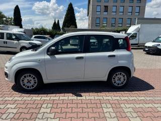 FIAT New Panda usata, con Airbag Passeggero