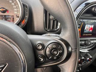 MINI Countryman usata, con Cronologia tagliandi