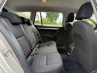 SKODA Octavia usata 13