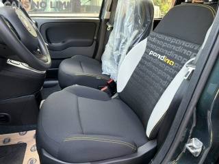 FIAT Panda Cross usata, con Specchietti laterali elettrici