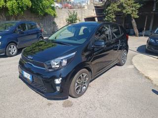 KIA Picanto 1.2 12V 5 porte vision