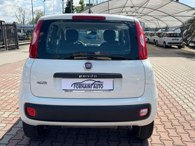 FIAT New Panda usata, con Climatizzatore