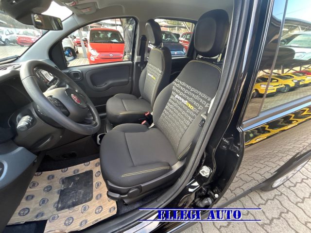 FIAT Panda usata, con Cruise Control