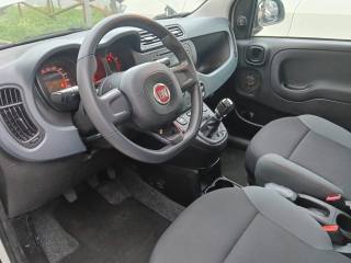 FIAT Panda usata 15