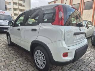 FIAT Panda usata, con Airbag laterali