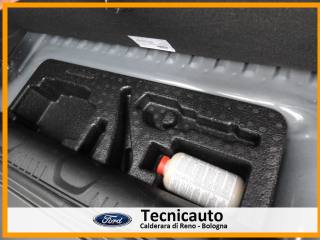 FORD EcoSport usata 23