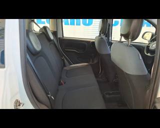 FIAT New Panda usata 15