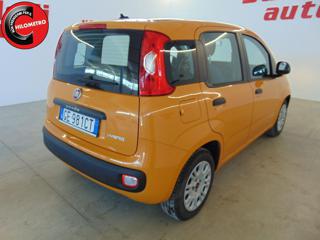 FIAT Panda usata, con Servosterzo