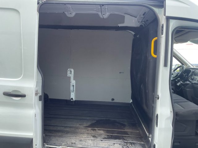 FORD Transit usata, con Fendinebbia