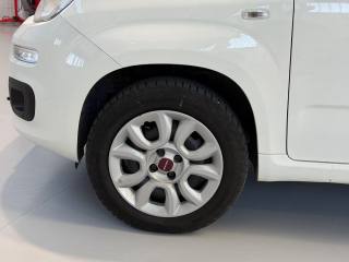 FIAT Panda usata 23