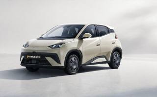 BYD Dolphin Surf usata, con Controllo trazione