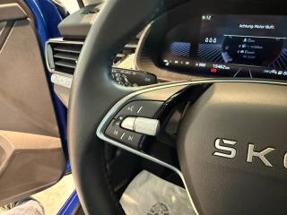 SKODA Kamiq usata, con Climatizzatore