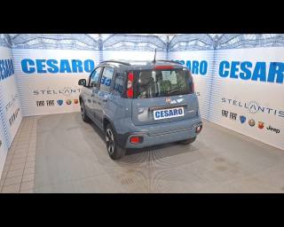 FIAT New Panda usata, con Alzacristalli elettrici