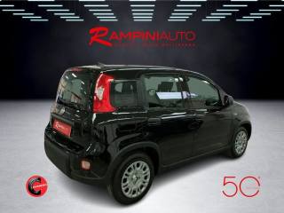 FIAT Panda usata 5