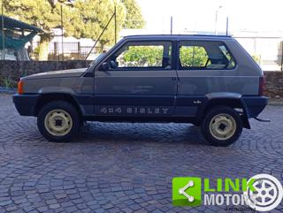 FIAT Panda usata, con Trazione integrale