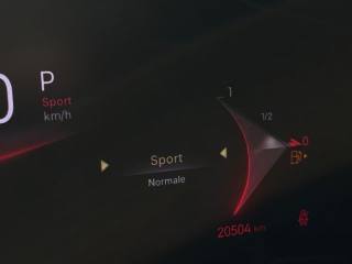 DS AUTOMOBILES DS 7 usata, con Autoradio digitale