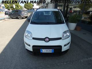 FIAT Panda usata, con Airbag