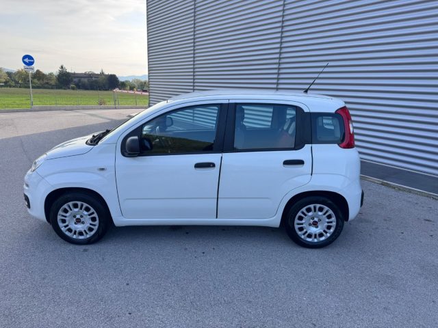 FIAT Panda usata, con Controllo trazione