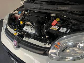 FIAT Panda usata, con Fendinebbia