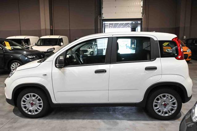 FIAT Panda usata, con Chiusura centralizzata
