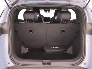 BYD Dolphin Surf usata, con Chiusura centralizzata telecomandata