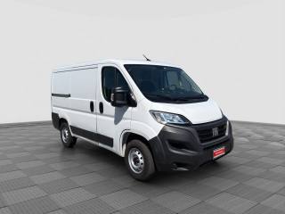 FIAT Ducato usata 6