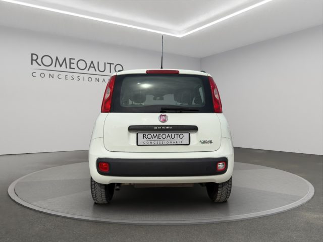 FIAT Panda usata 4