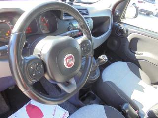 FIAT Panda usata 19