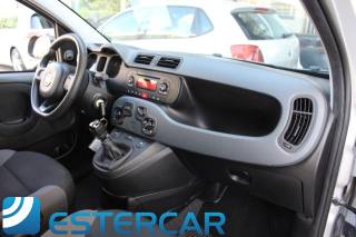 FIAT Panda usata, con Cronologia tagliandi