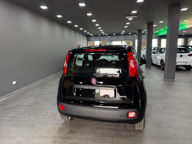 FIAT Pandina usata 38
