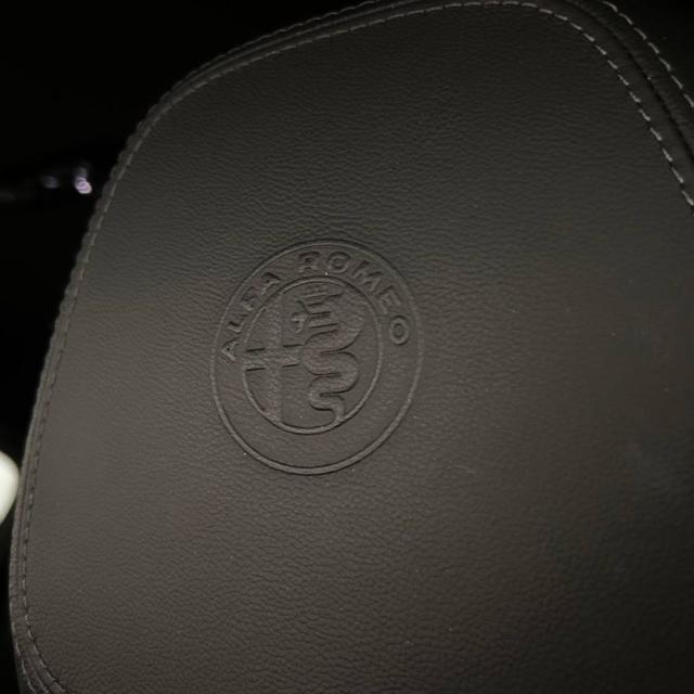 ALFA ROMEO Stelvio usata, con Controllo trazione