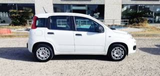 FIAT Panda usata, con Climatizzatore