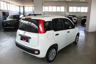 FIAT Panda usata, con Alzacristalli elettrici