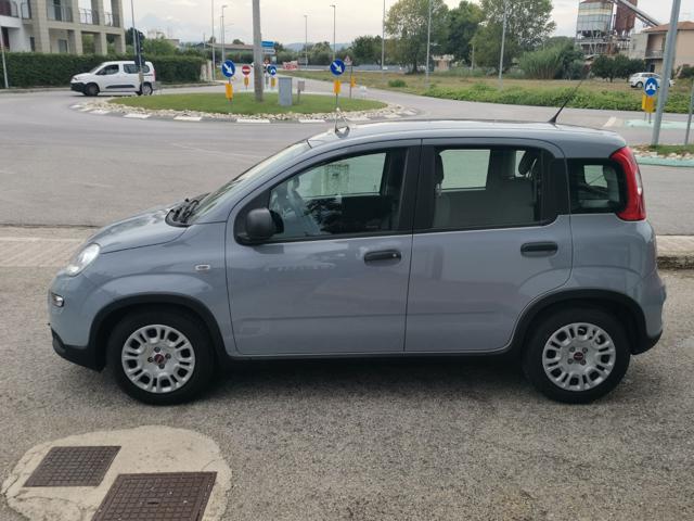FIAT Panda usata, con Chiusura centralizzata