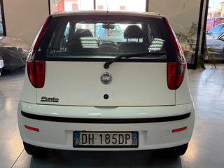FIAT Punto usata, con Servosterzo