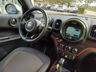MINI Countryman usata, con Fendinebbia