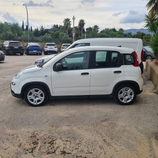 FIAT Panda usata, con Airbag Passeggero