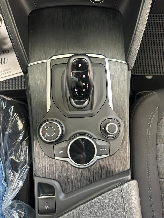 ALFA ROMEO Stelvio usata 29