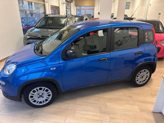 FIAT Panda usata, con Airbag Passeggero