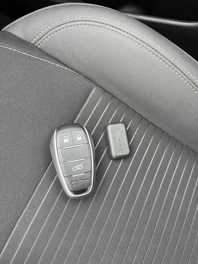 ALFA ROMEO Tonale usata 30